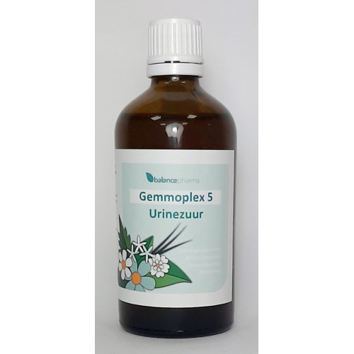 100 ml BalancePharma Gemmoplex 05 Urinezuur (HGP)