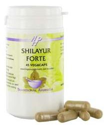 Holisan Shilayur Forte