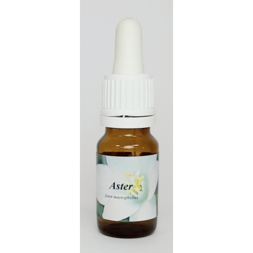 10 ml Star Remedies Aster