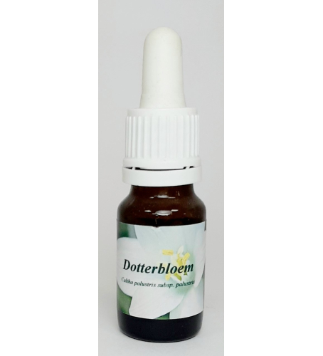 Star Remedies Dotterbloem