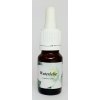 Star Remedies Waterlelie