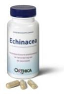 60 capsules Orthica Echinacea