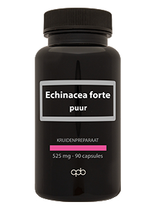 90 capsules APB Holland Echinacea Forte Puur 525 mg