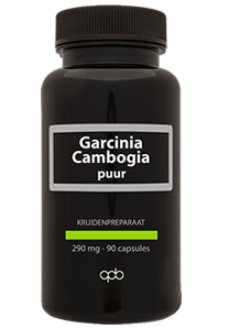 APB Holland Garcinia Cambogia Puur