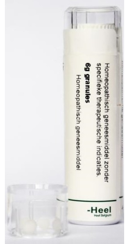 6 gram Homeoden Heel Calcarea Phosphorica D30