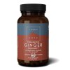 50 capsules Terranova Fermented Ginger 250 mg