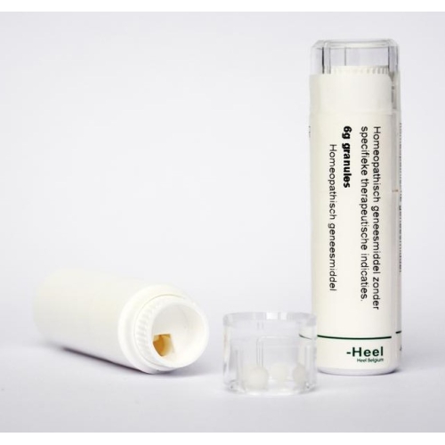 6 gram Homeoden Heel Cactus Grandiflorus D30