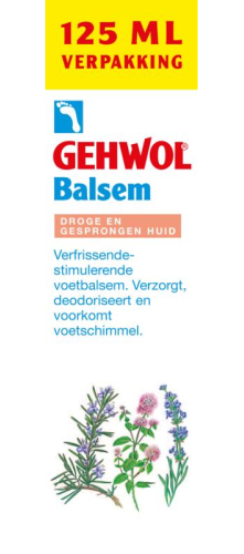 Gehwol Balsem Droge en Gesprongen Huid