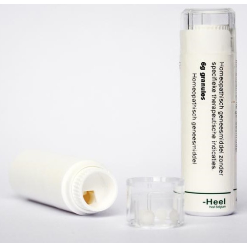 Homeoden Heel Causticum D4