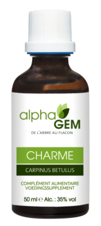 AlphaGem Haagbeuk - Carpinus Betulus Biologisch