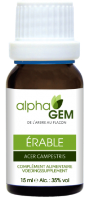 AlphaGem Erable - Acer Campestris - Veldesdoorn Biologisch 15 Ml