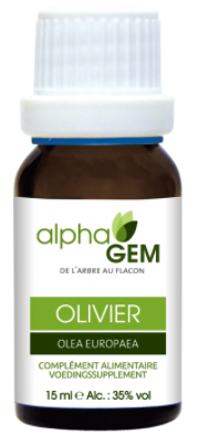 AlphaGem Olijfboom - Olea Europaea Biologisch