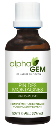 50 ml AlphaGem Bergden - Pinus Mugo Biologisch