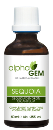 AlphaGem Mammoetboom - Sequoiadendron Gigantea Biologisch