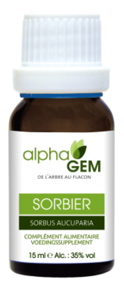 AlphaGem Lijsterbes - Sorbus Aucuparia Biologisch
