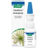 20 ml A.Vogel Cinuforce Neusspray