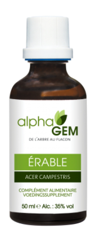 50 ml AlphaGem Erable - Acer Campestris - Veldesdoorn Biologisch