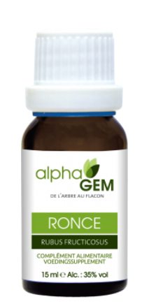 AlphaGem Gewone Braam - Rubus Fructicosus Biologisch