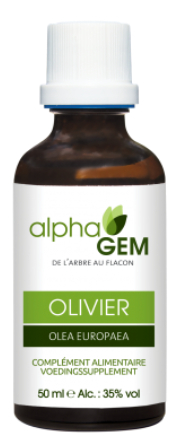AlphaGem Olijfboom - Olea Europaea Biologisch