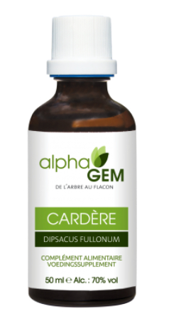 50 ml AlphaGem Kaardenbol - Dipsacus Fullonum Biologisch