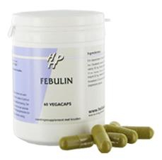 60 Kapseln Holisan Febulin