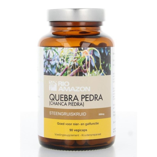 Rio Amazon Quebra Pedra Steengruiskruid