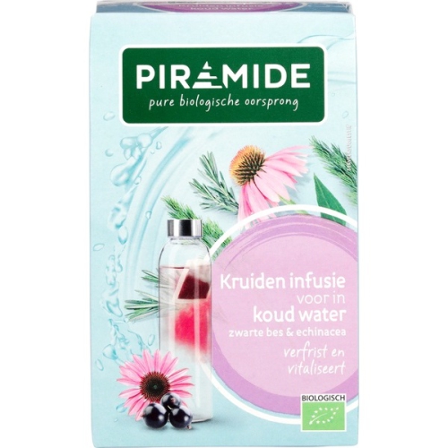 Piramide Kruiden Infusie voor in Koud Water Zwarte Bes & Echinacea Biologisch