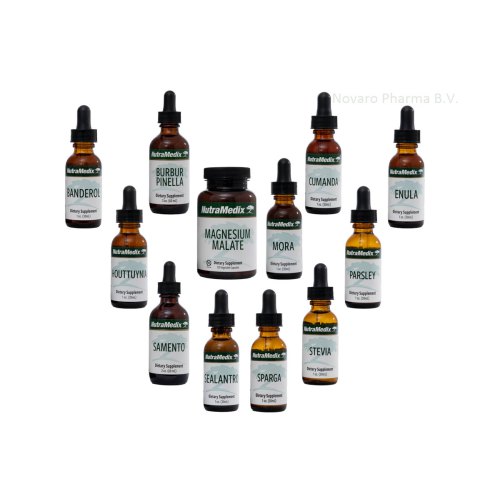 1 Packung Nutramedix Lee Cowden Protocol Maand 8