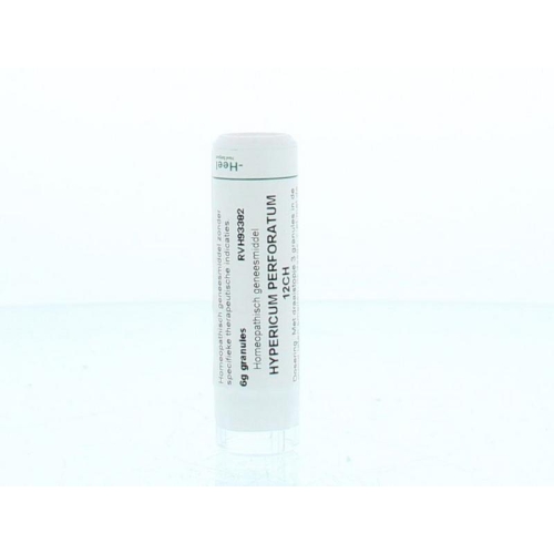 6 Gramm Homeoden Heel Hypericum Perforatum 12CH