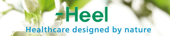Heel