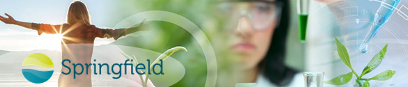Springfield
