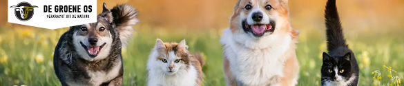 De Groene Os Veterinair