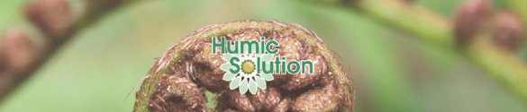 Humic Solution