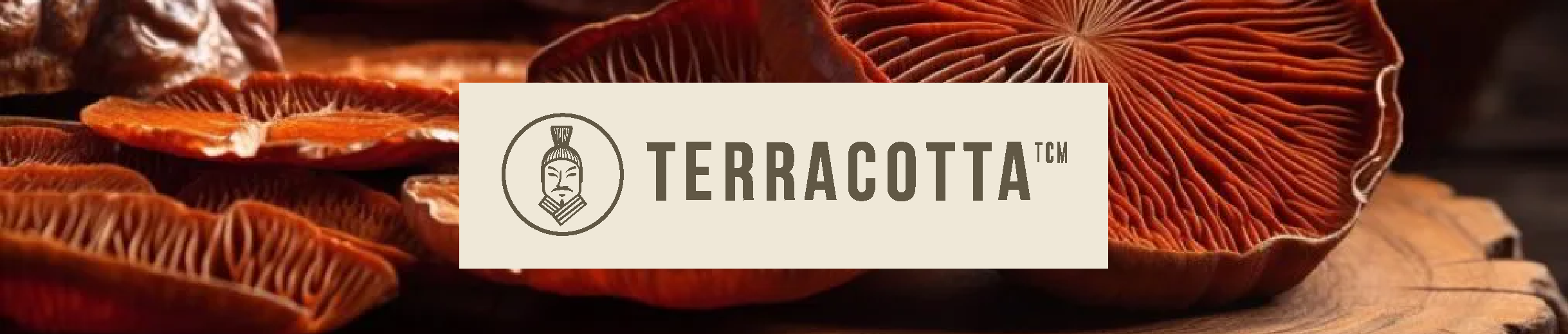 Terracotta
