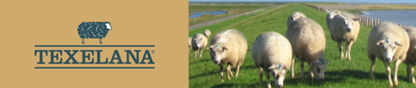 Texelana